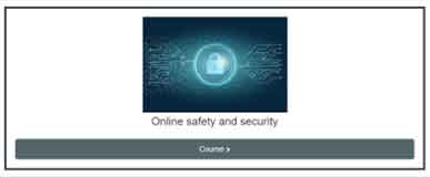 Online Safety And Security