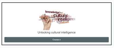 Unlocking Cultural INtelligence